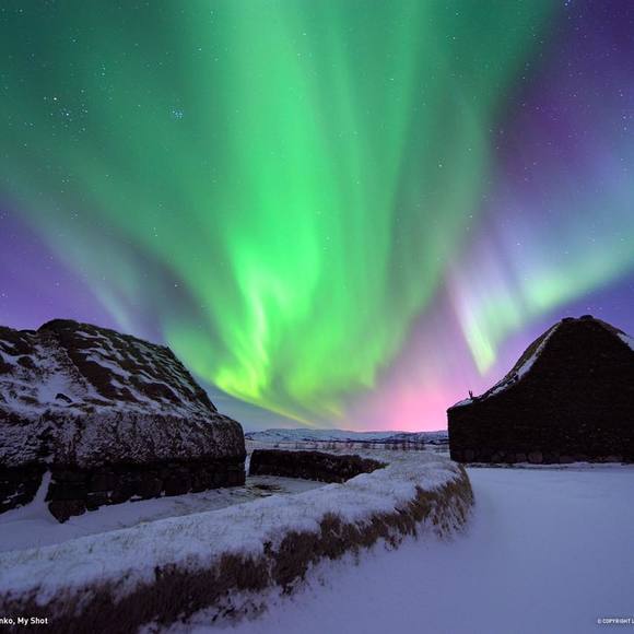 Meet your Posher, Tanya - Picture 1 of 1